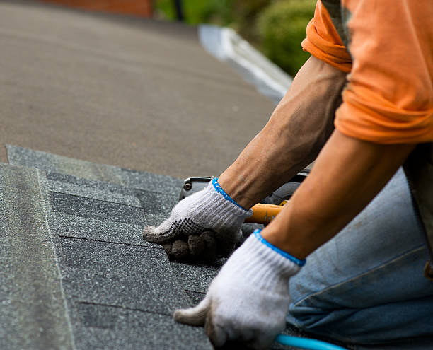 Professional Roofing Contractor in Fountain, CO